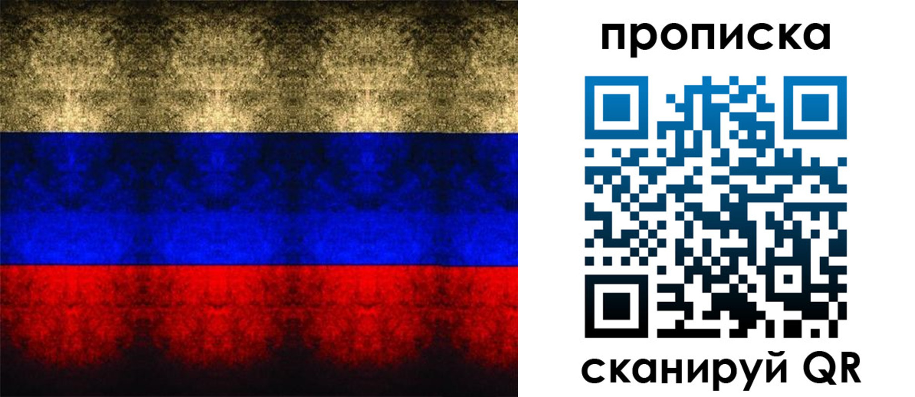 временная прописка в Каргополе